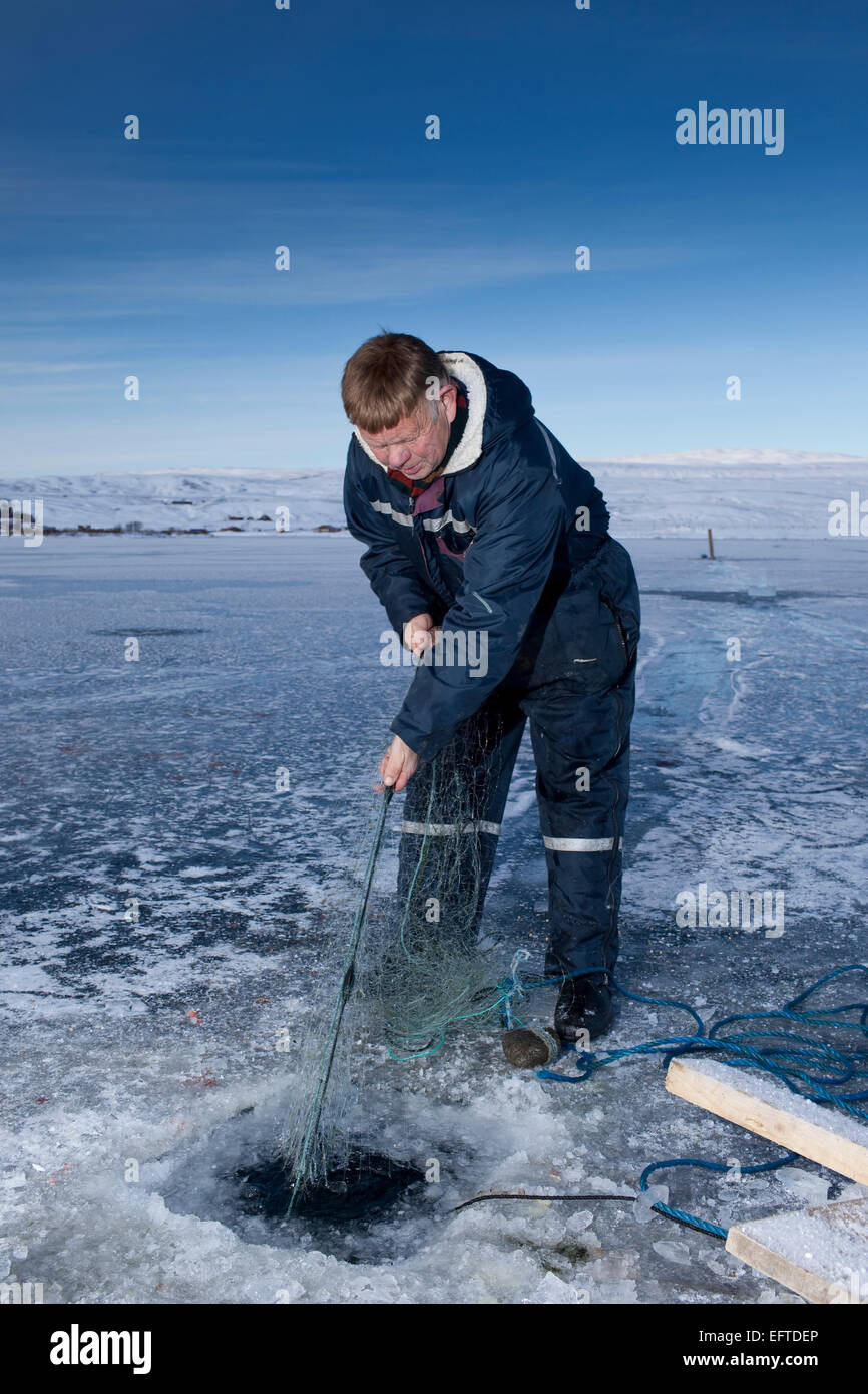 Pesca sul ghiaccio per il salmerino alpino sul lago Thingvellir, Thingvellir National Park, Islanda Foto Stock