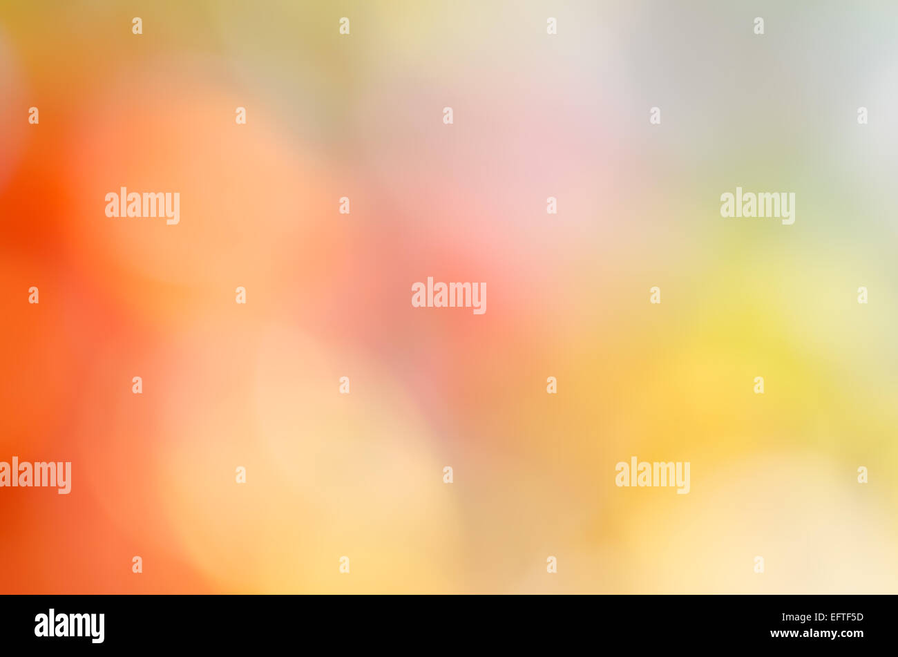 Colori vividi abstract sfondo sfocato con bokeh di fondo Foto Stock