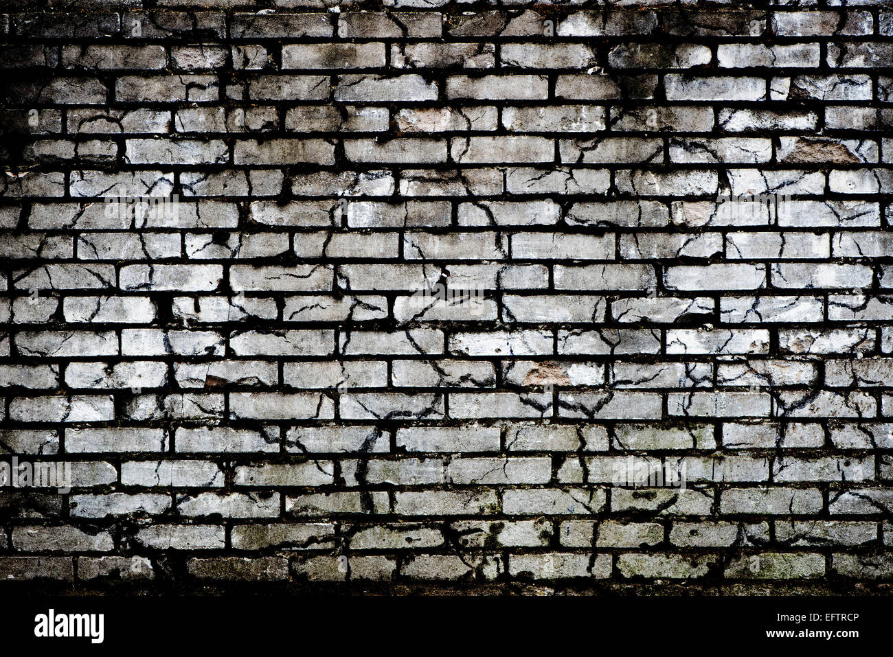 Muro di mattoni - nero e sfondo bianco Foto Stock