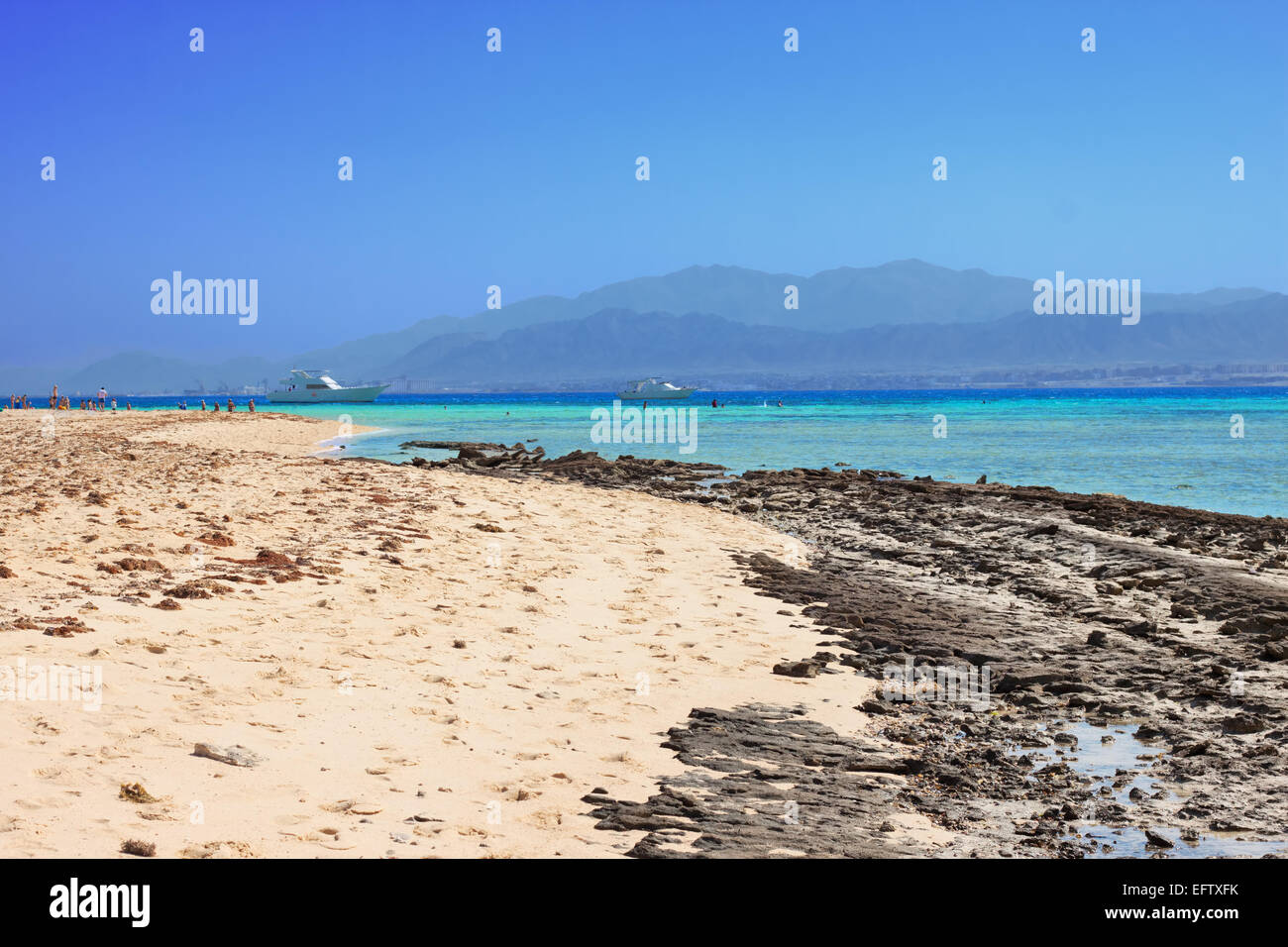 Coral reef del Mar Rosso Foto Stock