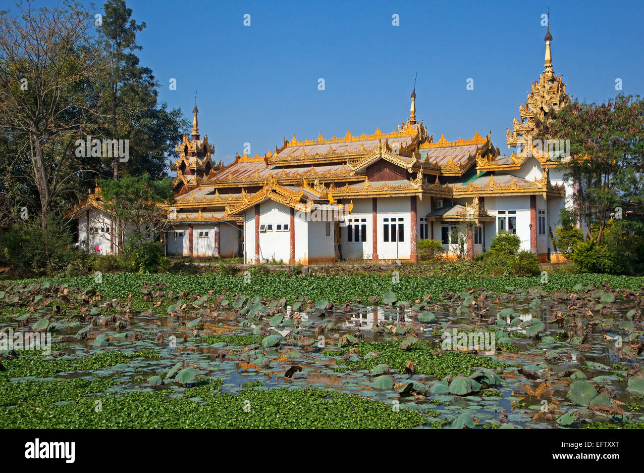 Golden World Hotel in un tempio buddista in città Keng Tung / Kengtung, Stato Shan, Myanmar / Birmania Foto Stock
