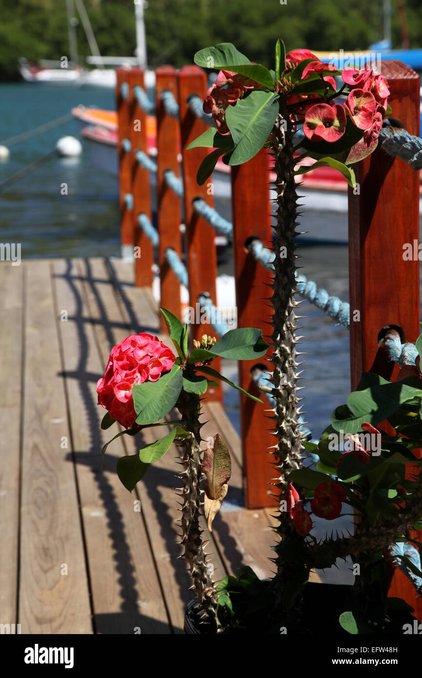 Decking,scherma colorati e fiori Benvenuti yachtsman di Marigot Bay Foto Stock