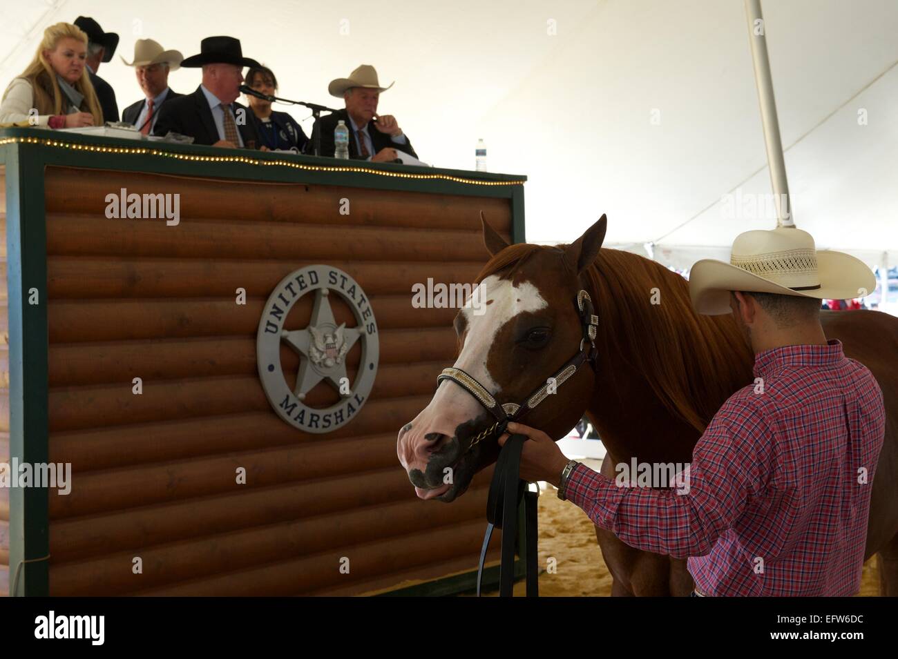 I banditori durante una di noi esegue il marshalling di un'asta di più di 300 quarter horses e cavallo-relative attrezzature appartenenti a Rita Crundwell, che è stato caricato con embezzling $53 milioni di euro dalla città di Dixon Settembre 23, 2012 in Dixon IL. Foto Stock