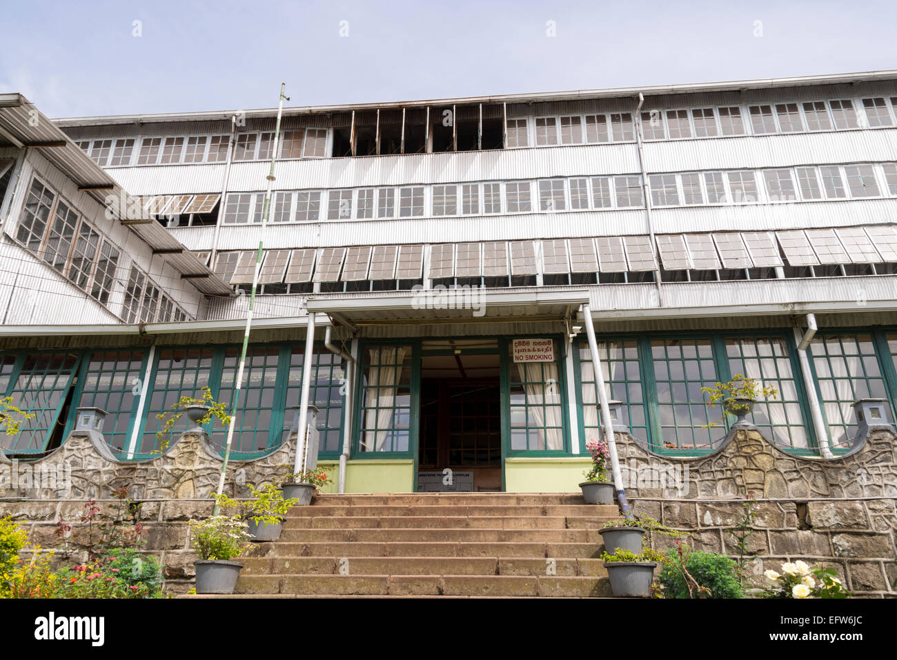 Tè Dambatenne Fabbrica, Haputale, provincia di Uva, Sri Lanka. Foto Stock