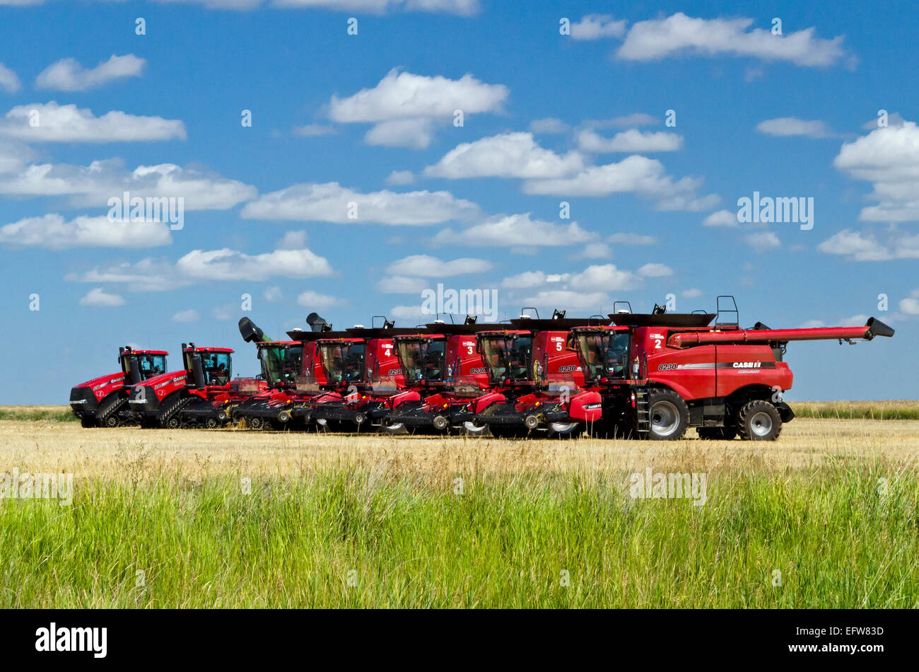 Una fila di mietitrebbia e altri veicoli di fattoria, nel sud dell'Alberta praterie. Foto Stock