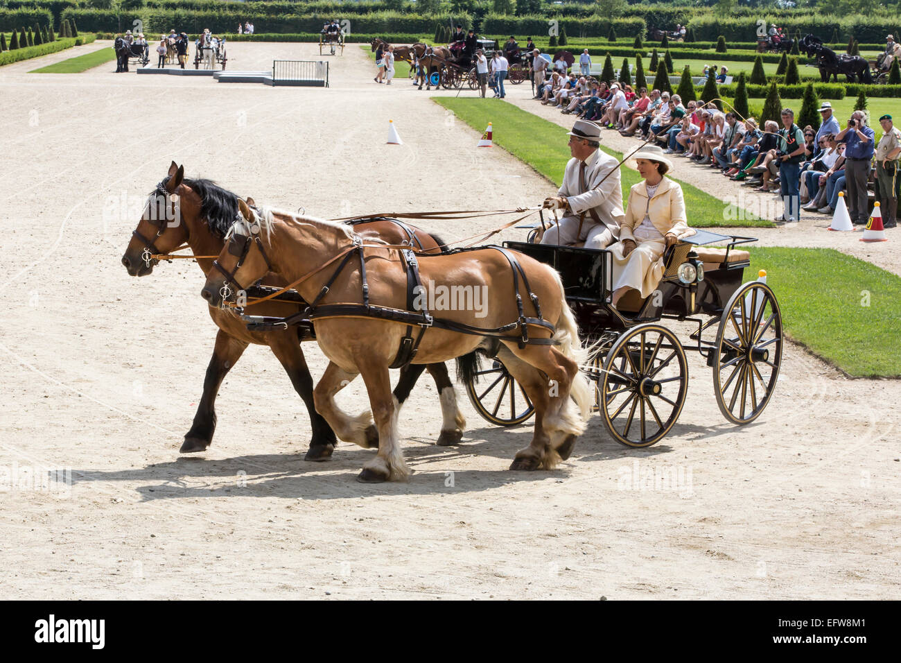 Concorso internazionale per carrelli tradizionali "La Venaria Reale", Carrello: Phaeton Stenhope,una coppia di draft-cavalli,Italia Foto Stock