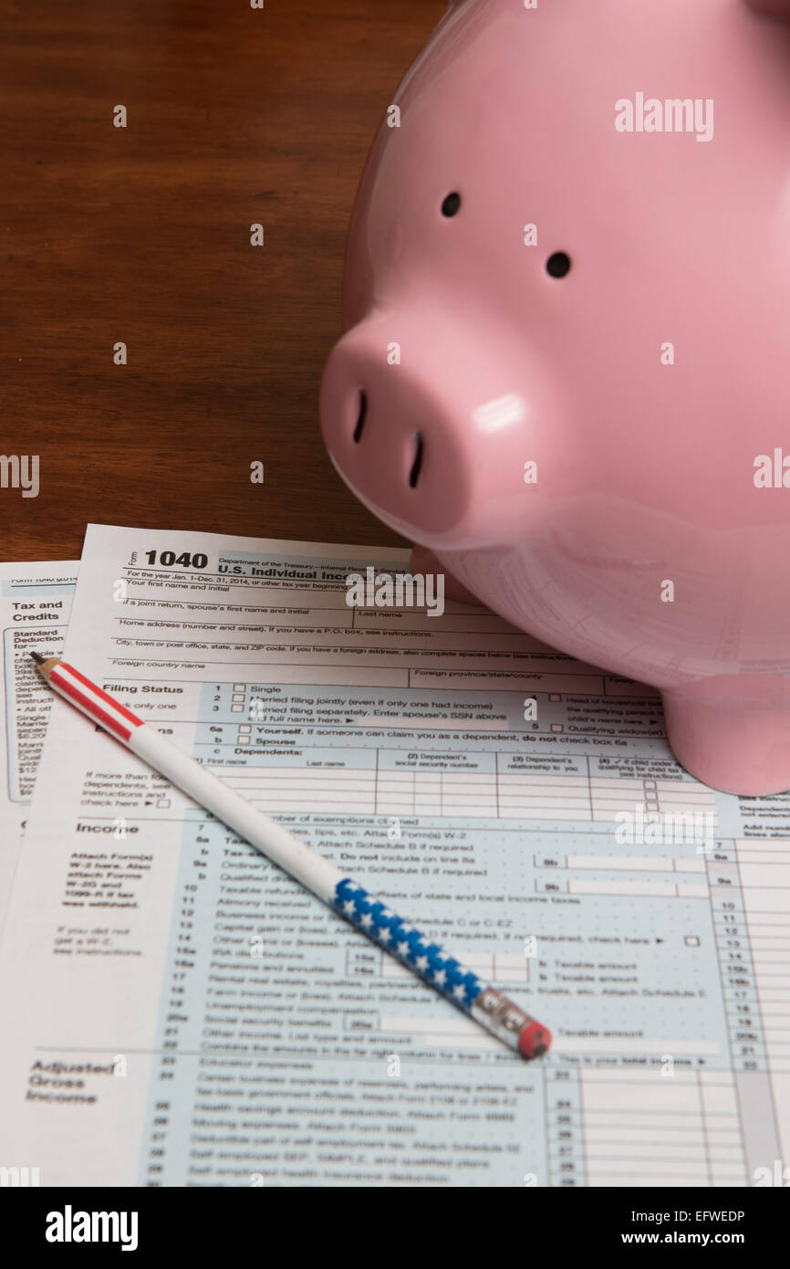 Una rosa salvadanaio lungo il lato di un governo americano Internal Revenue Service form 1040 (U.S. I singoli Redditi) Foto Stock