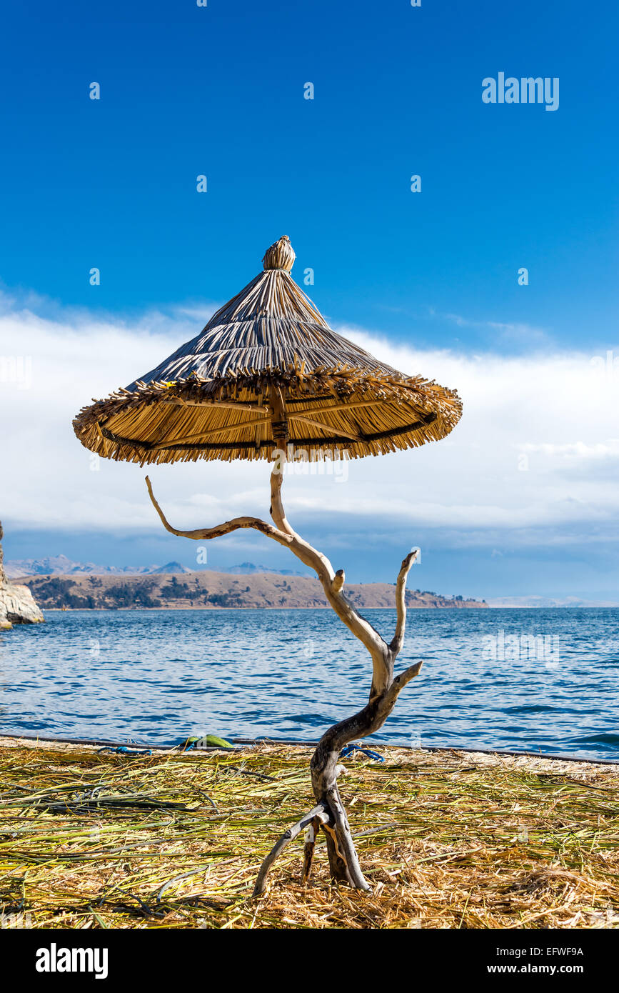 Pettine piccolo ombrello su un isola galleggiante sul lago Titicaca vicino a Copacabana, Bolivia Foto Stock