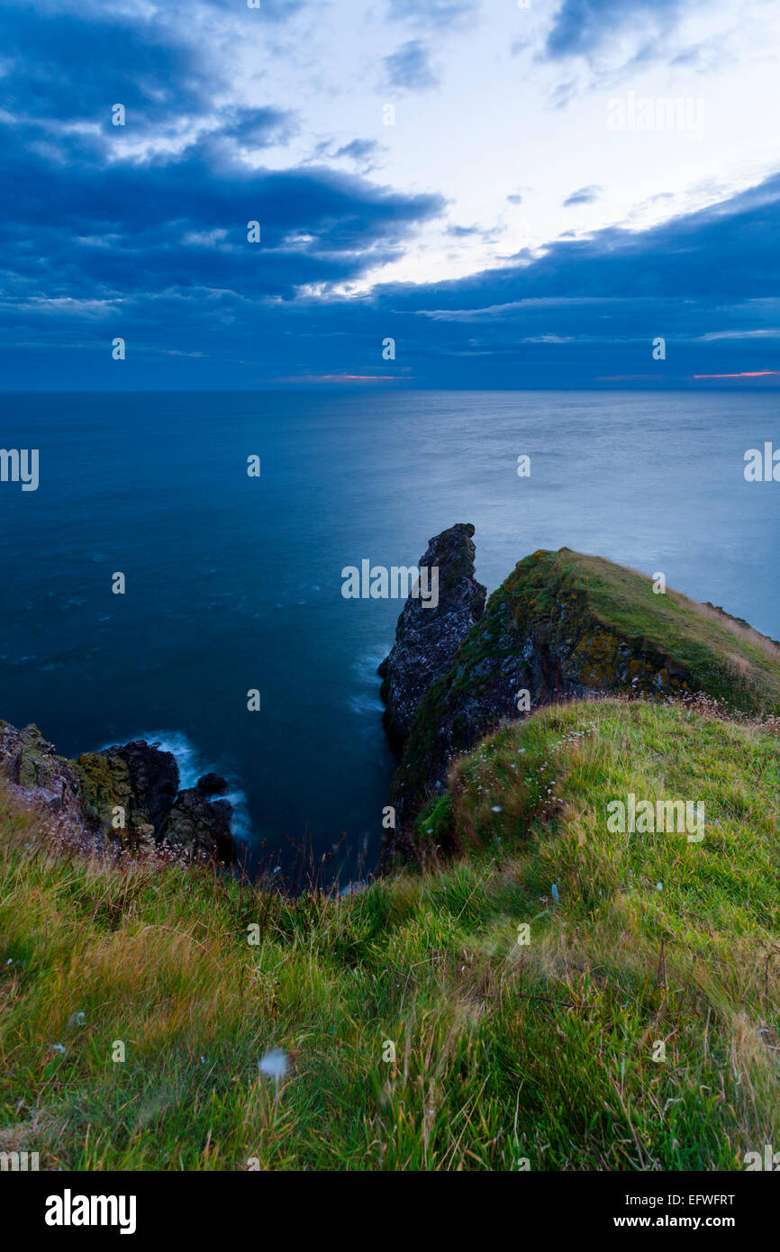 Le scogliere erbose a St Abbs Head riserva all'alba Foto Stock