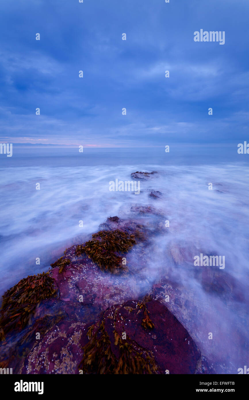 Il bordo tagliente rocce su questa spiaggia in East Lothian sono fantastici materiale fotografico. Qui ho optato per più di meno è più strateg Foto Stock