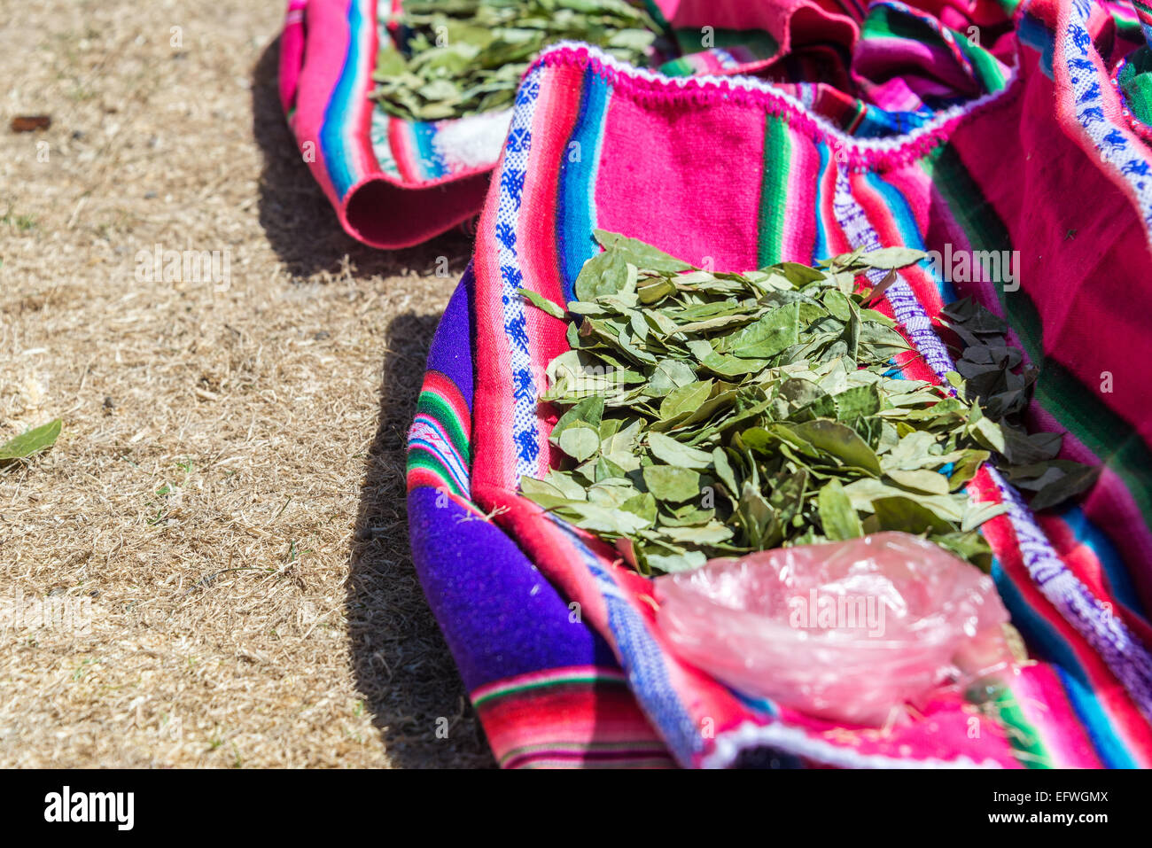 Le foglie di coca in appoggio sulla colorata tessuto tradizionale sull' isola del sole sul lato boliviana del Lago Titicaca Foto Stock