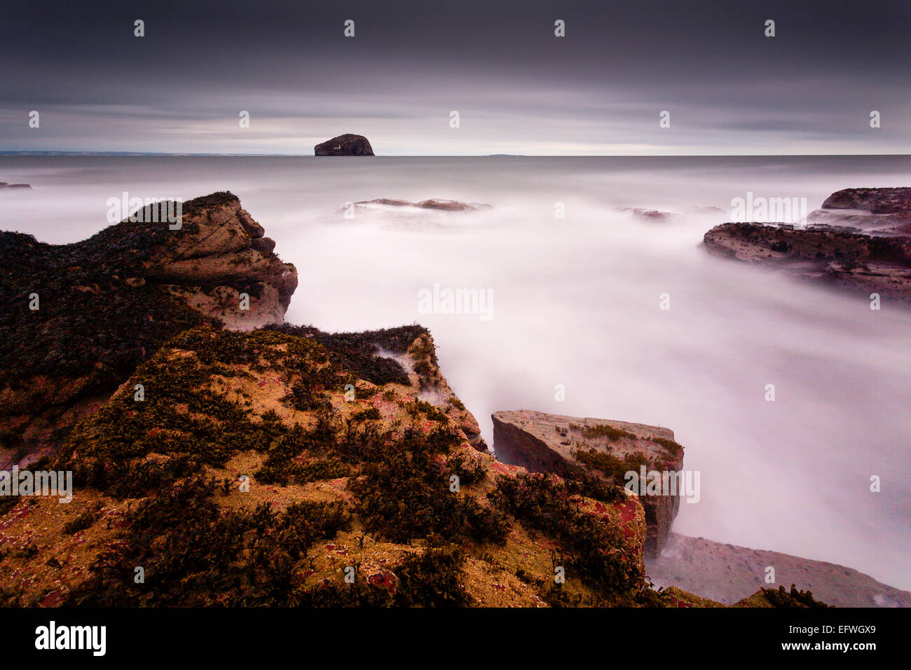 Bassa marea a Seacliff spiaggia vicino a North Berwick, con il Bass Rock visibile in distanza. Foto Stock