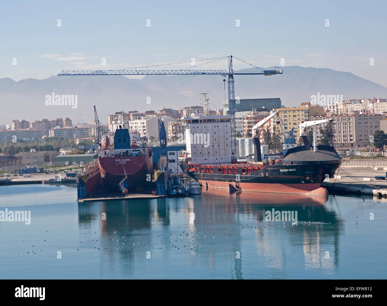 Le navi da carico nel porto di Malaga, Spagna Foto Stock
