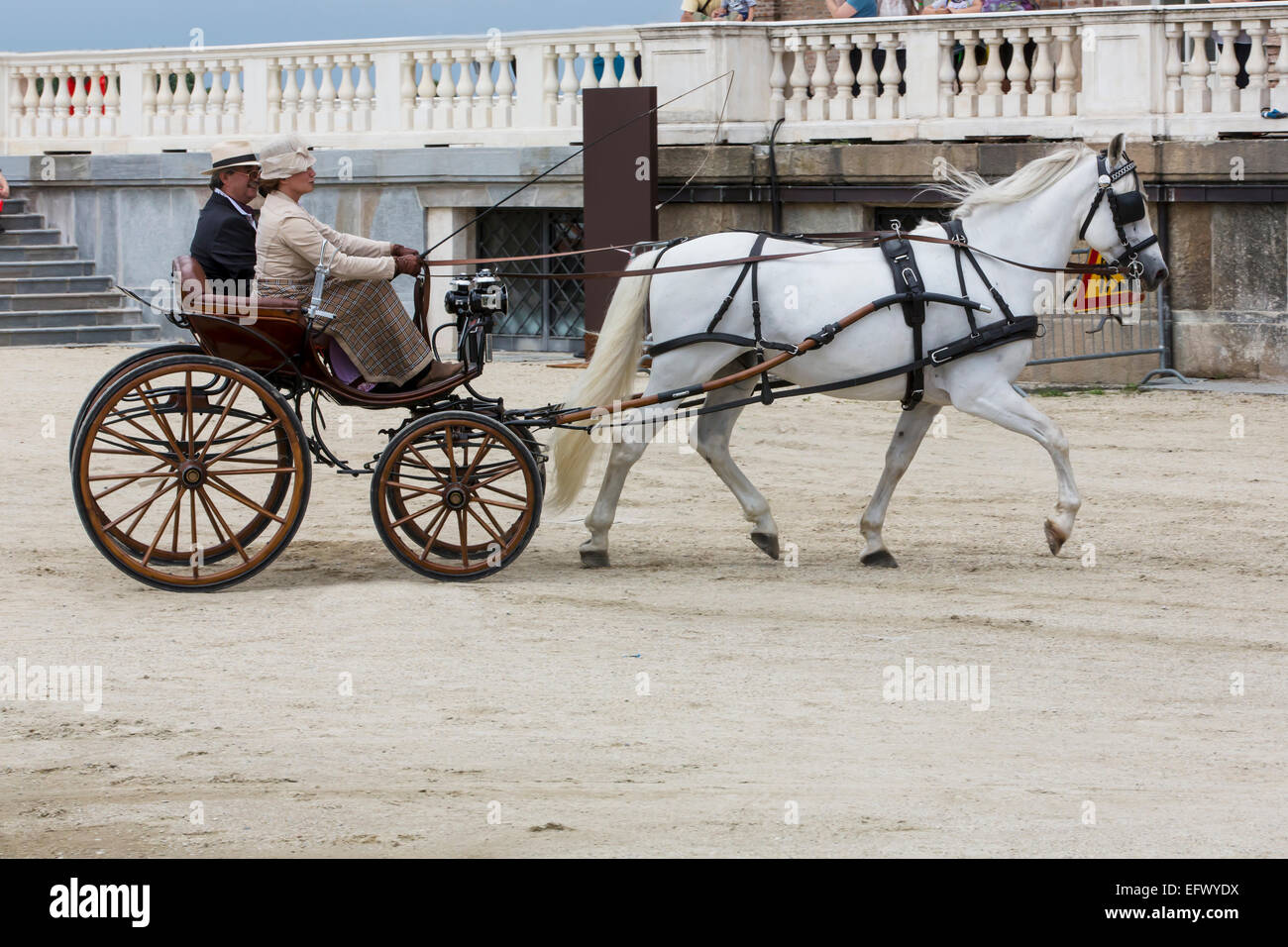 Concorso internazionale per carrelli tradizionali "La Venaria Reale", Carrello: Pistoiese , Cavallo: singolo spagnolo puro,Italia Foto Stock