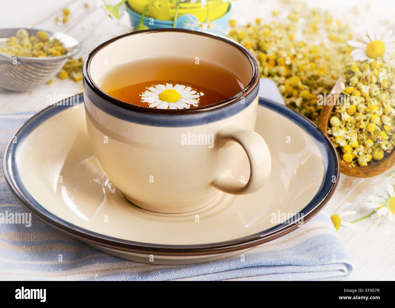 Il tè alle erbe cup con i fiori di camomilla. Messa a fuoco selettiva Foto Stock