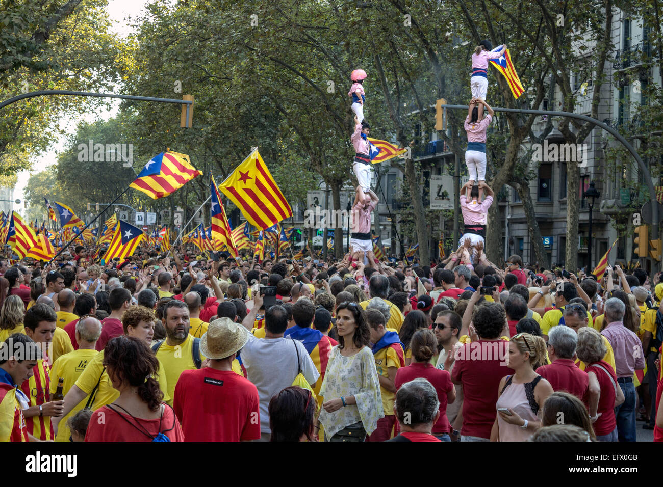 Barcellona, Spagna - sept. 11: la gente celebra l'indipendenza sulla strada di Barcellona durante la Giornata Nazionale della Catalogna Foto Stock