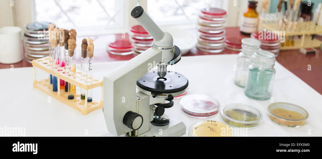 Microscopio, capsule di Petri e provette per la prova su un tavolo in un laboratorio di analisi mediche Foto Stock