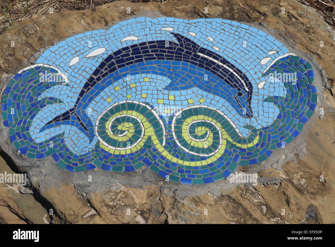 Ceramiche piastrelle a mosaico di un delfino. Foto Stock