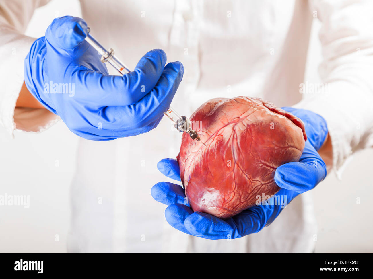 La malattia di cuore e vasi, isolato sfondo bianco Foto Stock