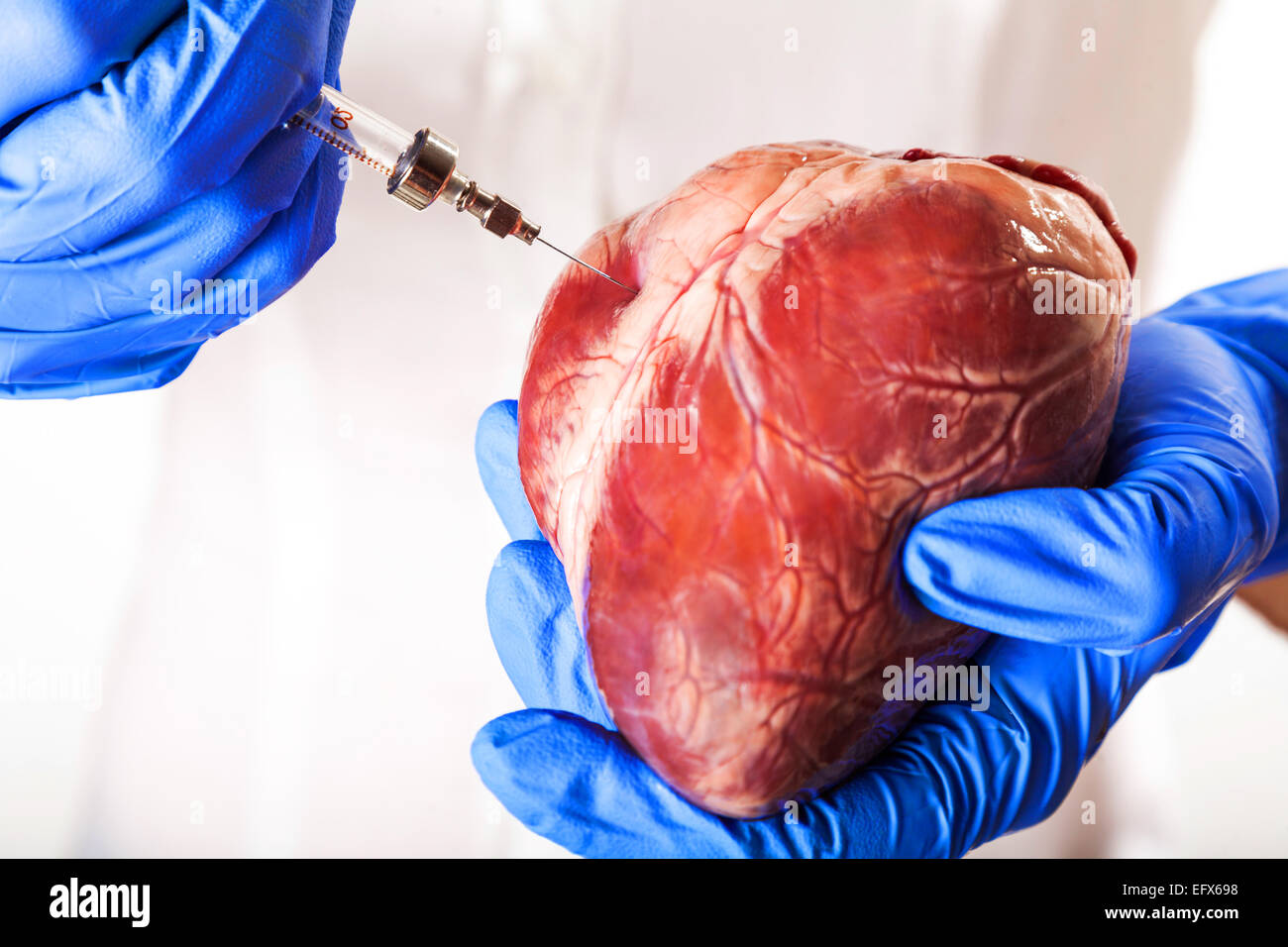 La malattia di cuore, isolato sfondo bianco Foto Stock