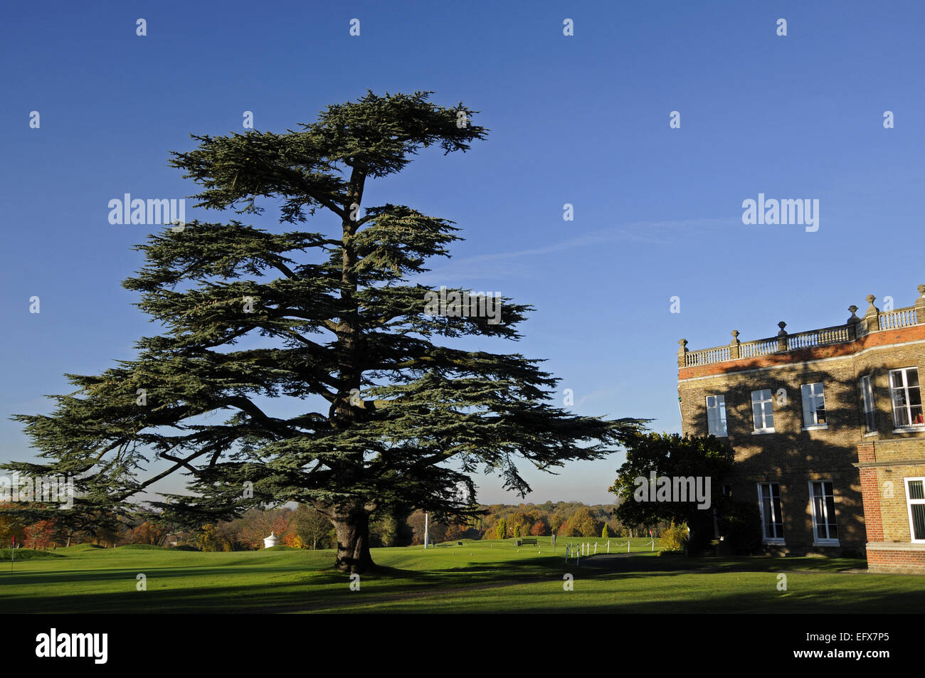 Cipresso e la clubhouse e vista sul campo da Golf in autunno Chislehurst Golf Club Chislehurst Kent England Foto Stock