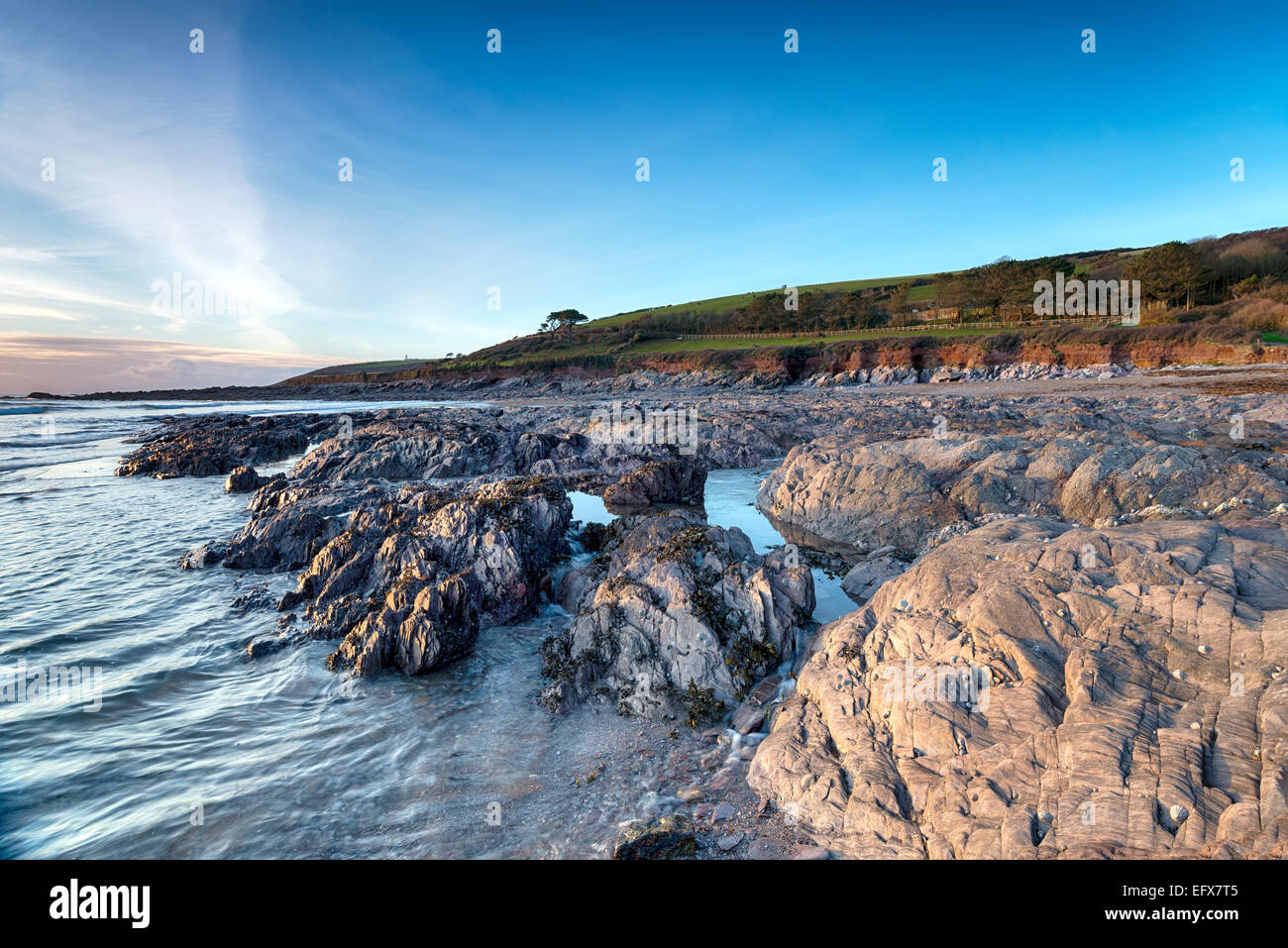 La rocciosa spiaggia di Wembury in Devon Foto Stock