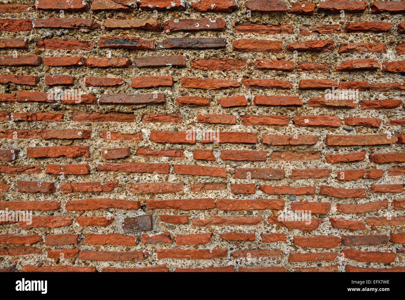 Il vecchio muro a St Augustine's Abbey, Canterbury, Kent, Regno Unito Foto Stock
