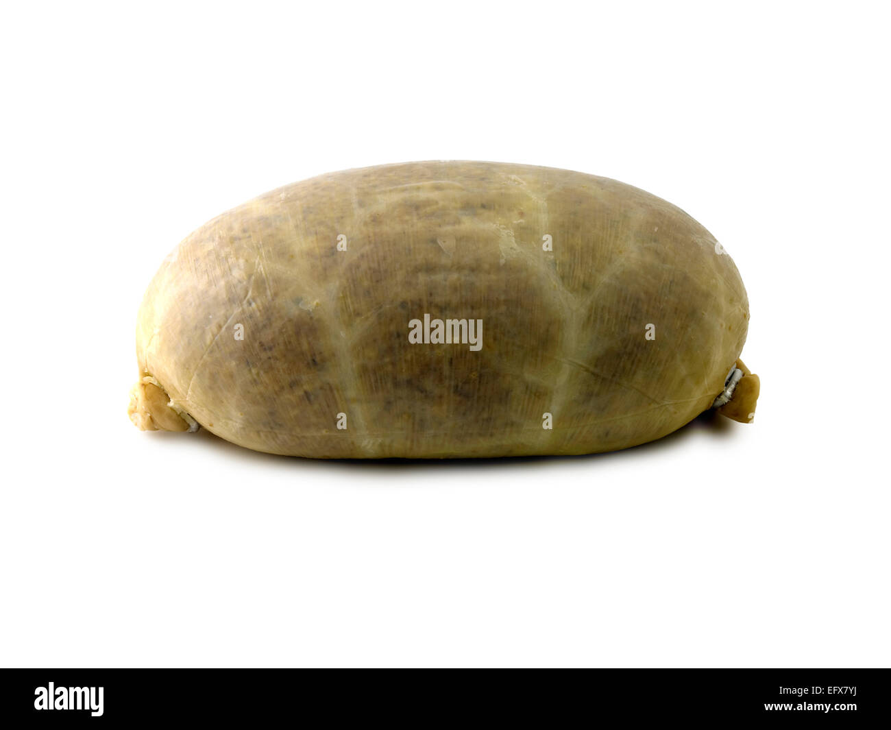 Haggis Foto Stock