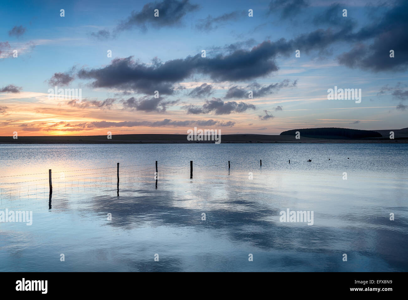 Tramonto sull'affollata serbatoio un grande lago a Bodmin Moor vicino davidstoe in Cornovaglia Foto Stock