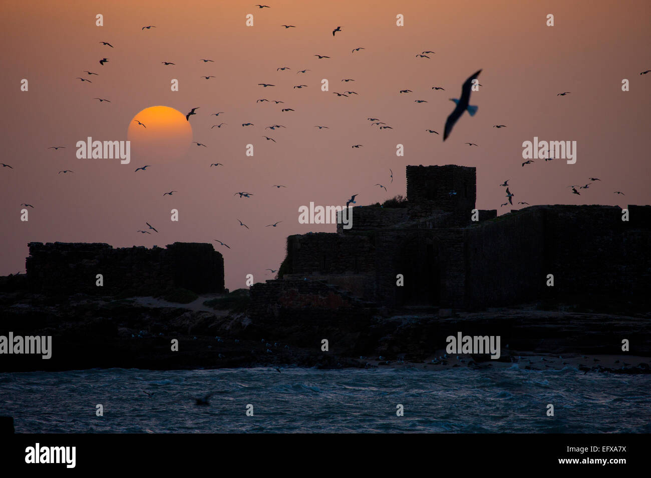 Le mura della città e il mare i gabbiani stagliano al tramonto, Mogador, Essaouira, Marocco Foto Stock