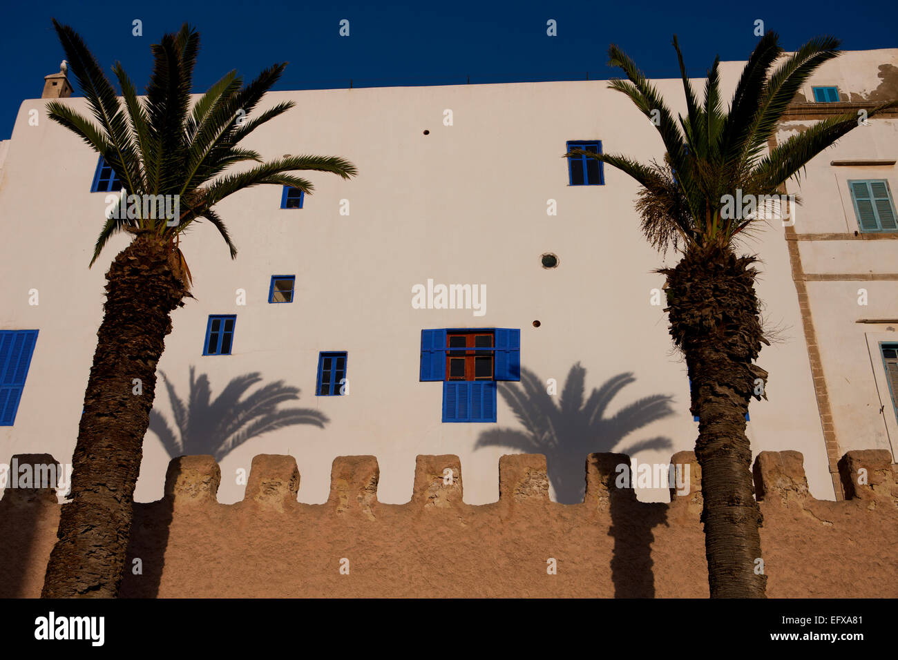 Palme e fort pareti, Essaouira, Marocco Foto Stock