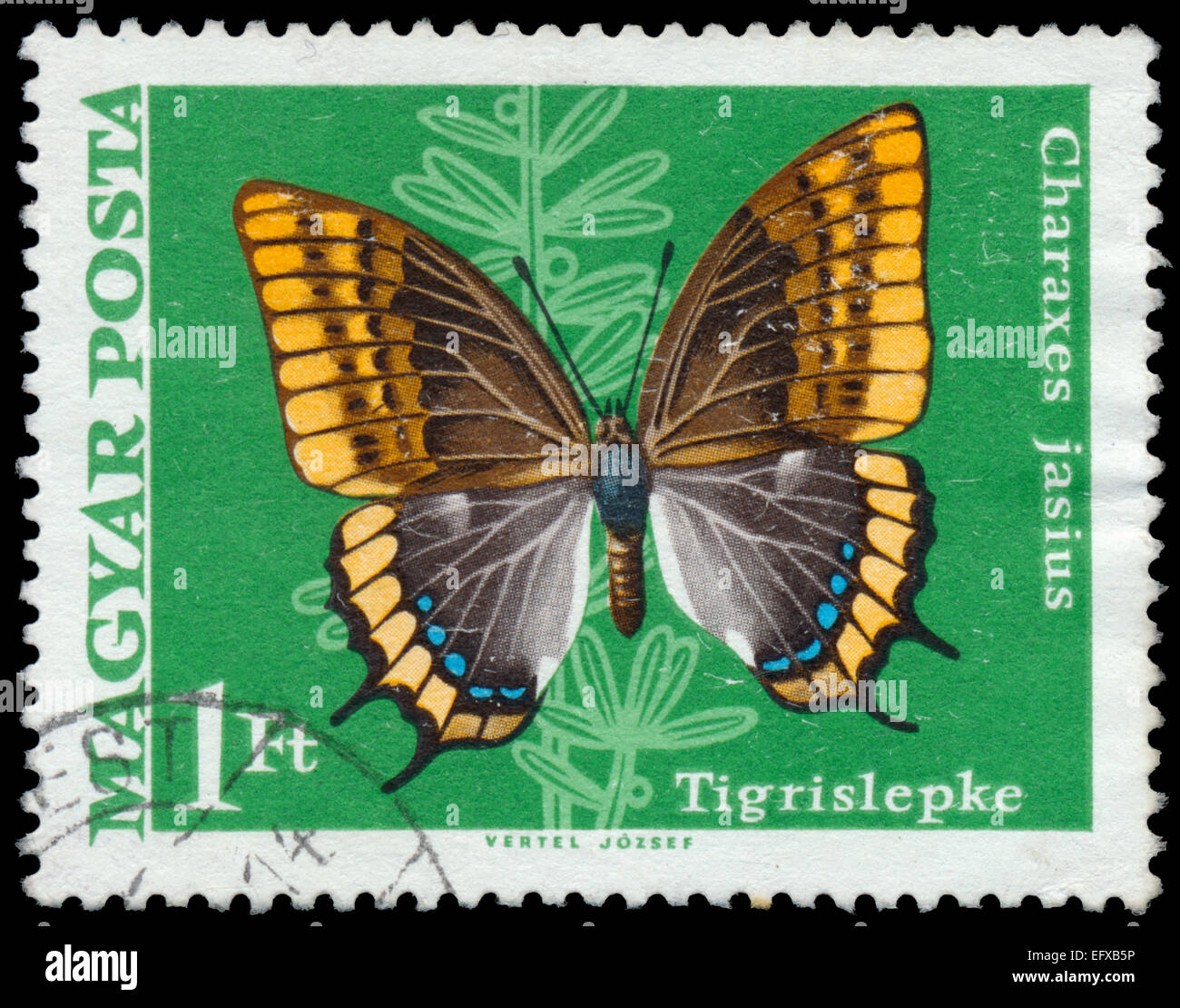 Ungheria - circa 1969: un timbro postale stampato in Ungheria mostra Foxy imperatore butterfly, Charaxs jasius, circa 1969 Foto Stock