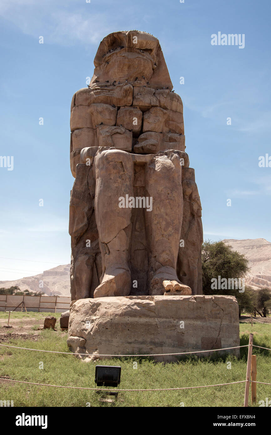 I Colossi di Memnon - due enormi statue di pietra del faraone Amenhotep III - EGITTO Luxor. Foto Stock