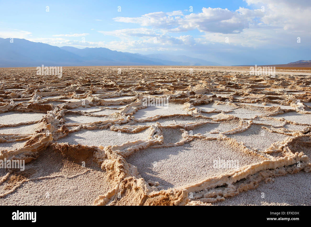 Salzkrusten, crosta di sale, Badwater Bassin, Tal des Todes, Death Valley, Stati Uniti d'America, Stati Uniti d'America Foto Stock