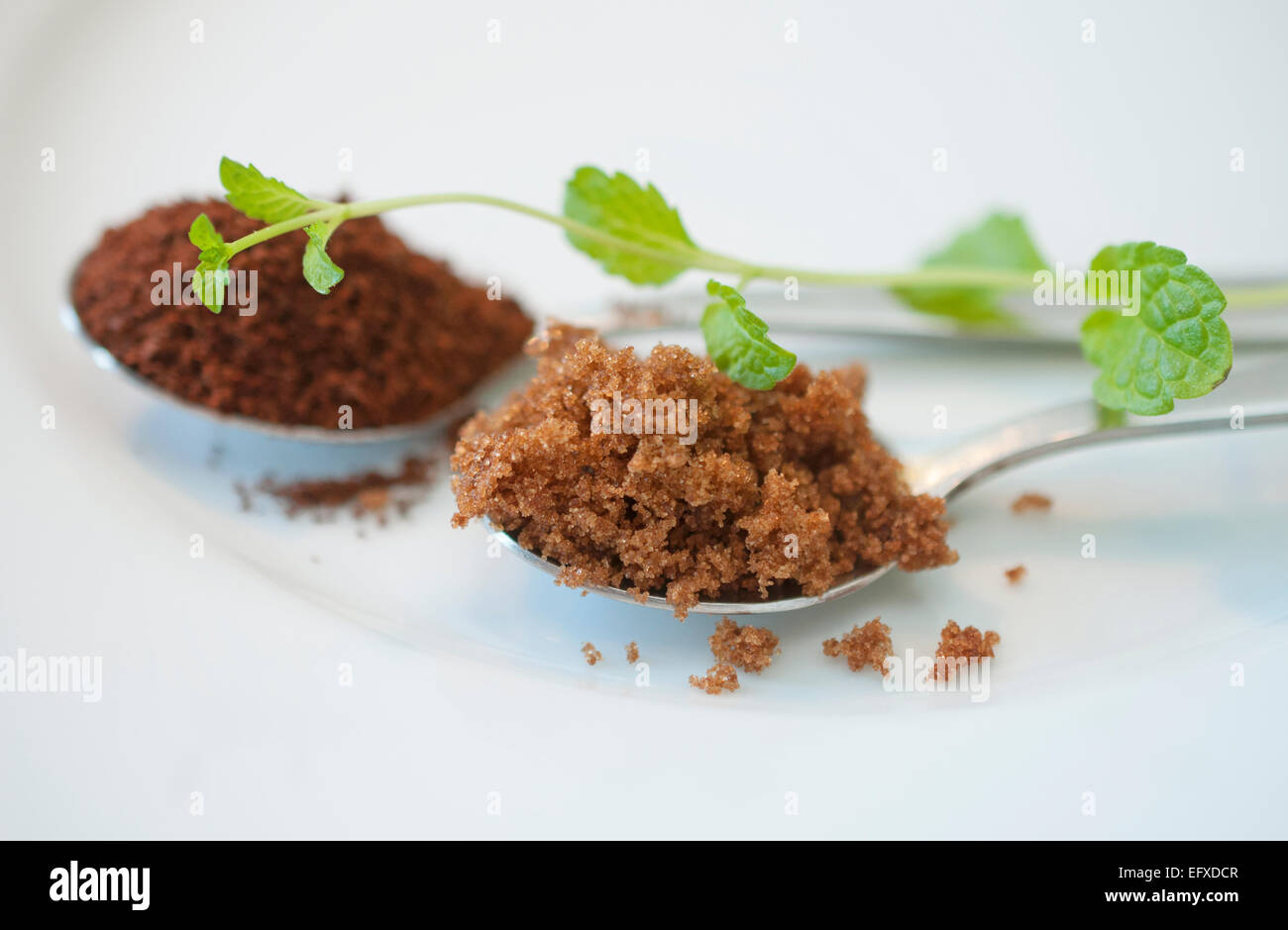 Fotografia macro di tutte la menta fresca, caffè e zucchero di canna. Foto Stock