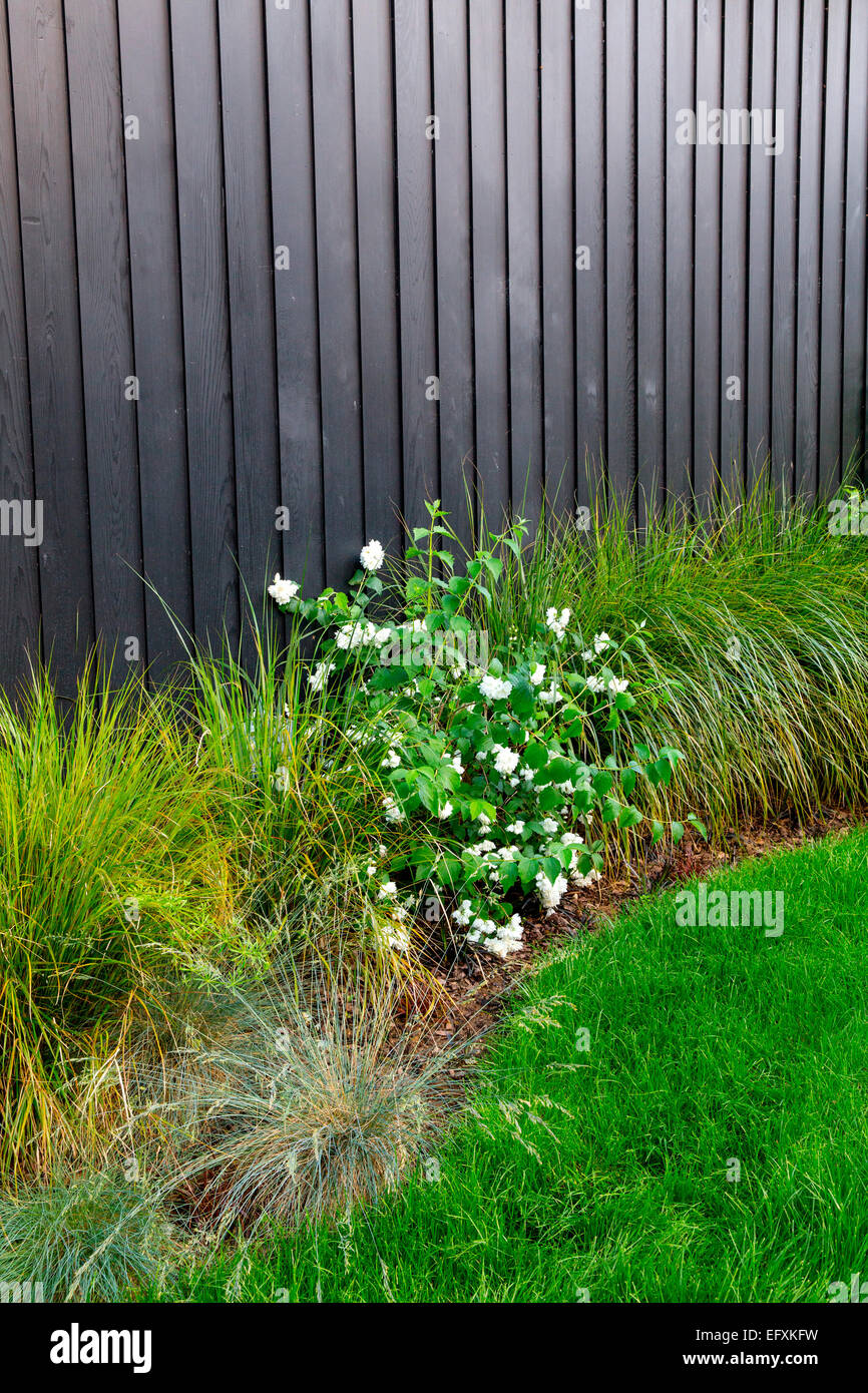 Nero con pannelli di recinzione e giardino confine con erbe ornamentali e rose bush Foto Stock