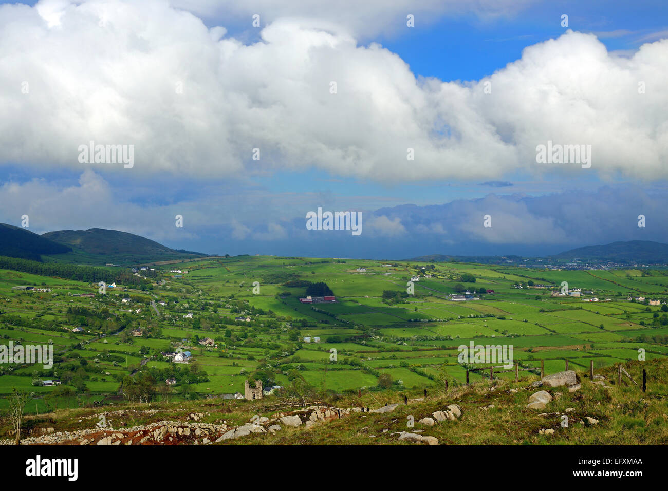 Una vista pastorale rurale della Irlanda del Nord per un giorno di estate con il blu del cielo e il verde lussureggiante sotto soffici nuvole. Foto Stock