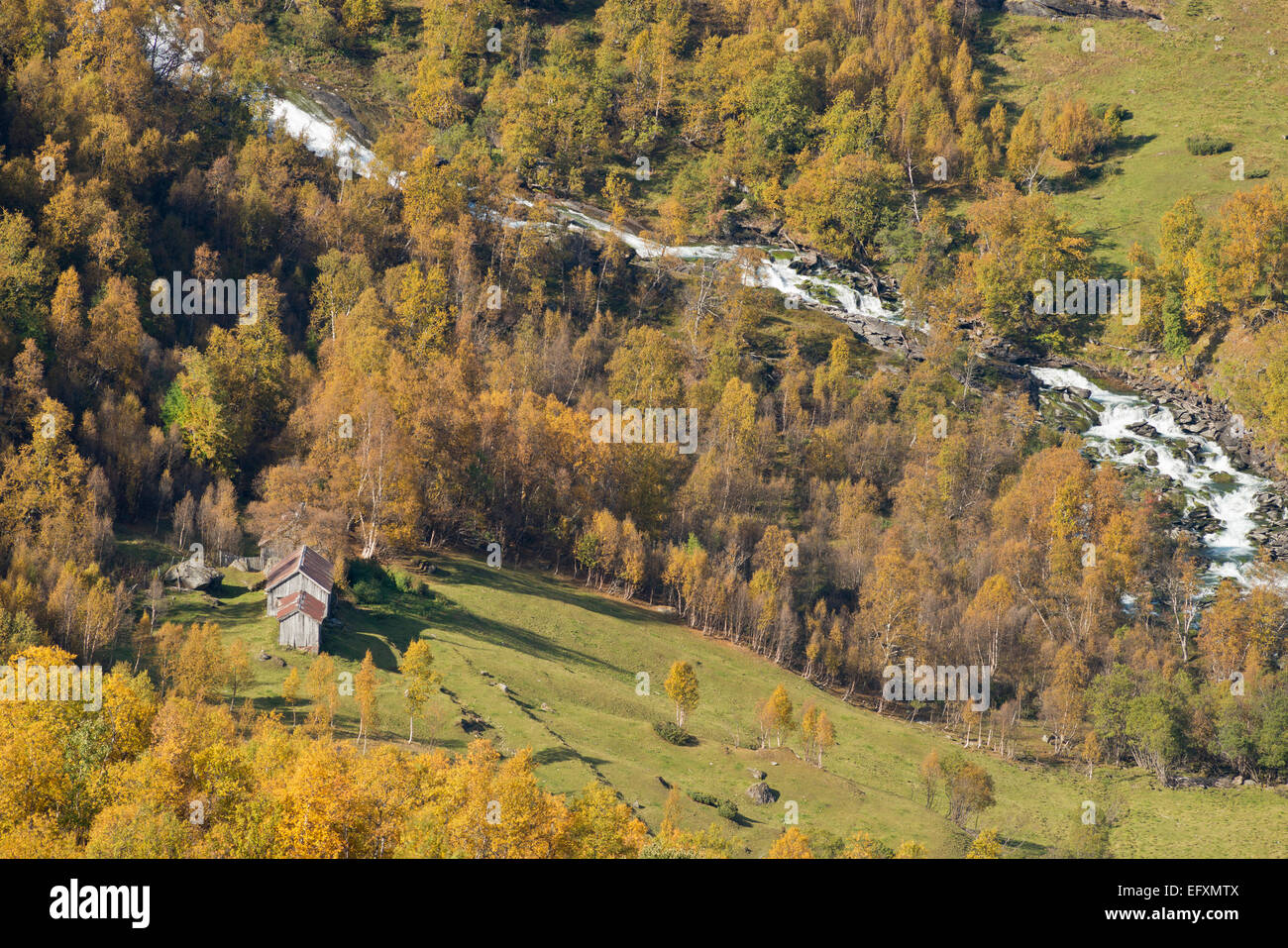 Paesaggio lungo la strada Sognefjell, estate indiana, collezione autunno, betulle, nei pressi di Jotunheimen Fjellstue, cascata, vecchia fattoria Foto Stock