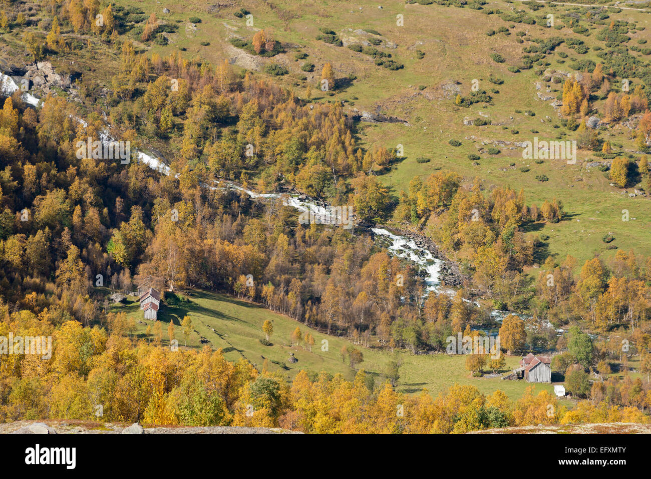 Paesaggio lungo la strada Sognefjell, estate indiana, collezione autunno, betulle, nei pressi di Jotunheimen Fjellstue, cascata, vecchia fattoria Foto Stock