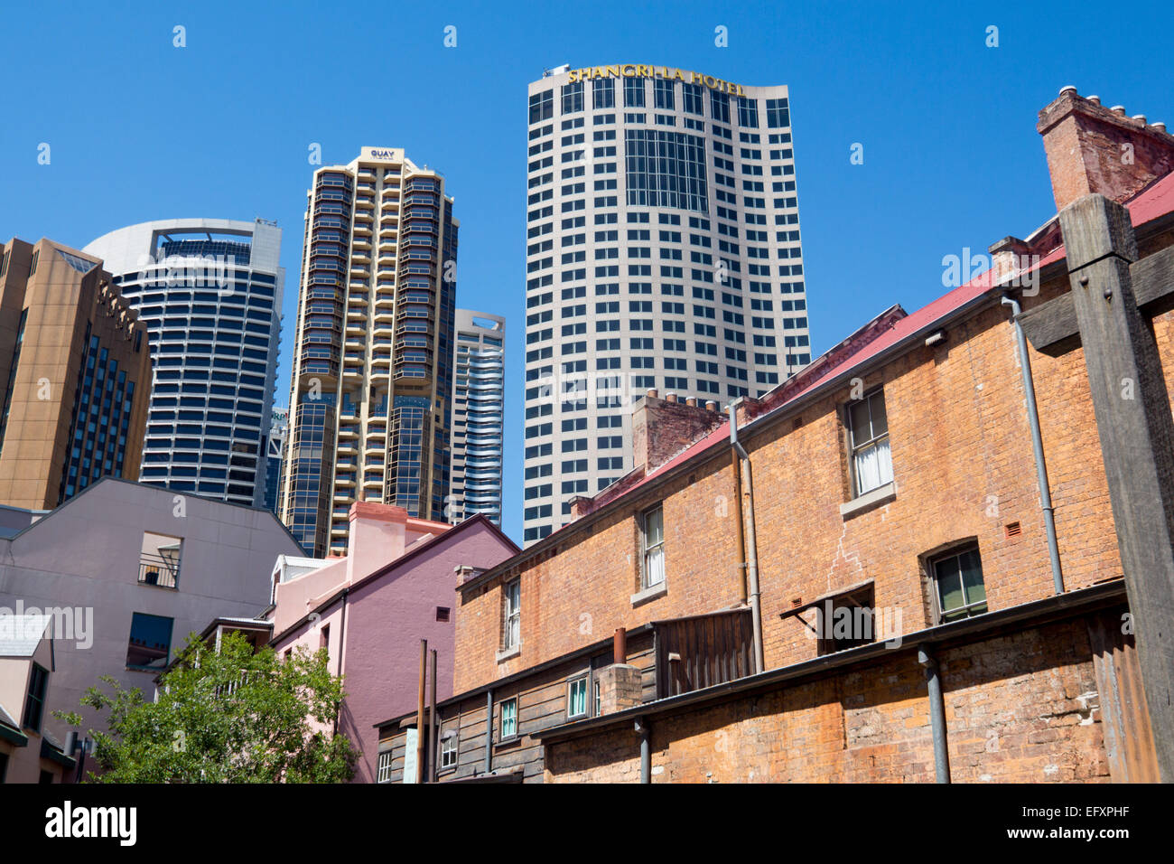 Parte posteriore del XIX secolo terrazza di case formando Susannah Place Museum e moderna e contemporanea in blocchi di Torre di Sydney NSW Australia Foto Stock