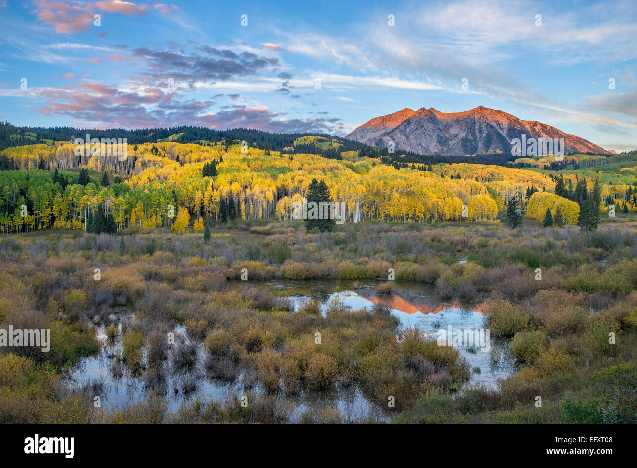 La Foresta Nazionale di Gunnison, West Elk Mountains, CO: Sunrise luce su East Beckwith Mountain, da un castoro stagno vicino Pass Kebler Foto Stock