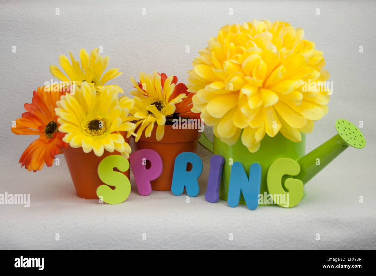 Coloratissima primavera immagine e tema, con molla enunciato nelle lettere di schiuma e fiori luminosi Foto Stock