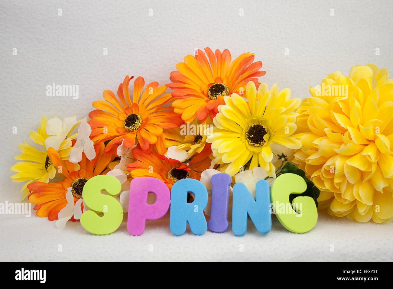 Coloratissima primavera immagine e tema, con molla enunciato nelle lettere di schiuma e fiori luminosi Foto Stock