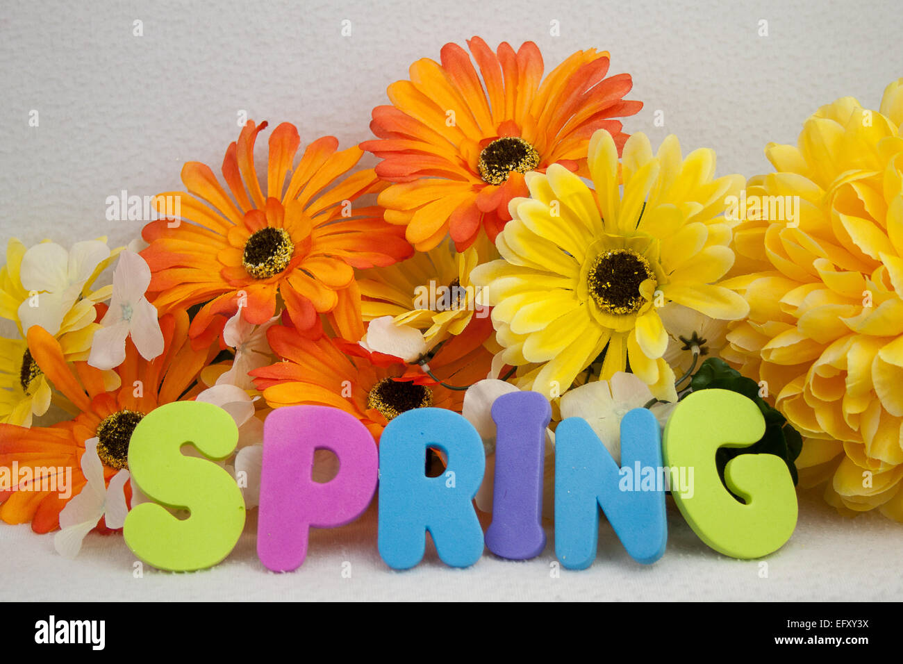 Coloratissima primavera immagine e tema, con molla enunciato nelle lettere di schiuma e fiori luminosi Foto Stock