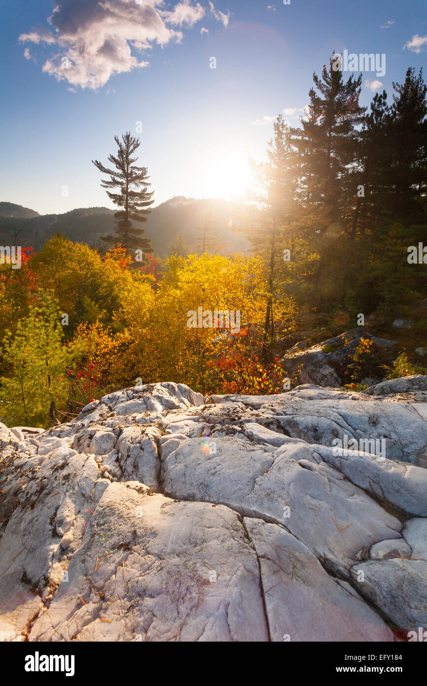 Surise con colore di autunno e quarzite bianca roccia in primo piano. Killarney Provincial Park. In Ontario, Canada. Foto Stock