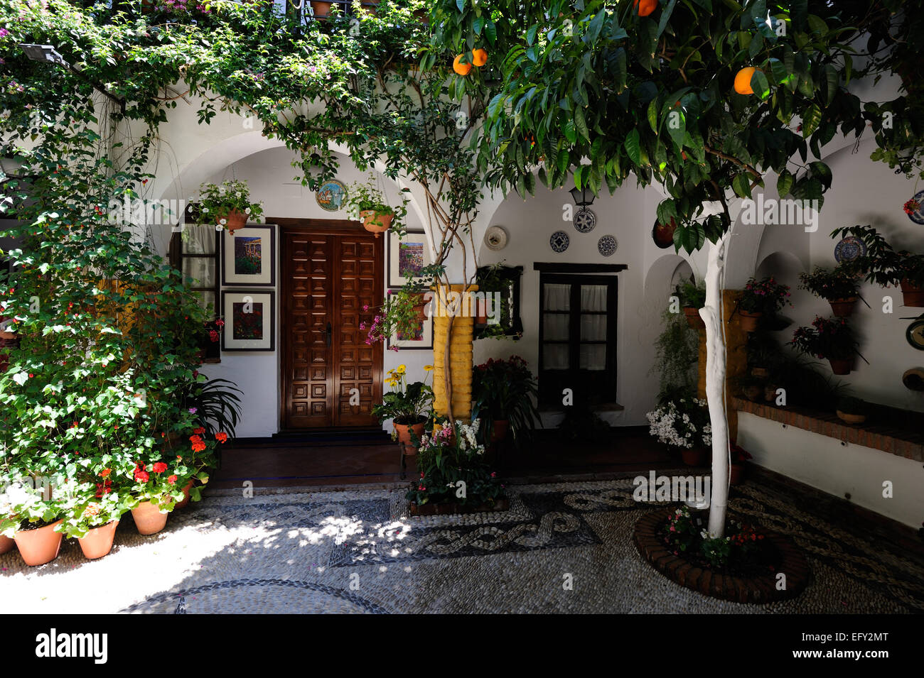 Cortile durante il Festival dei Patios (el Festival de Los Patios Cordobeses), Cordoba, Spagna Foto Stock