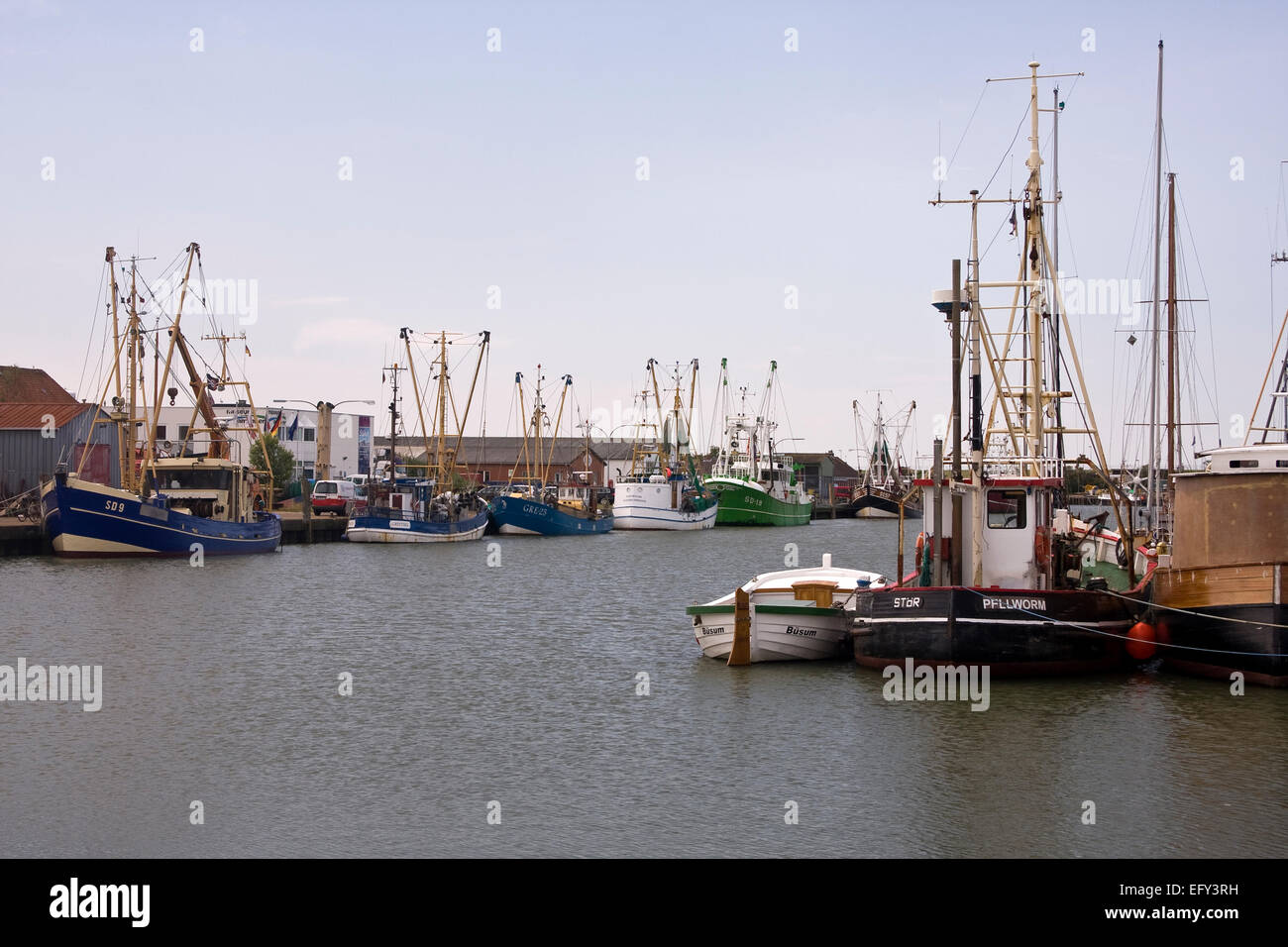 Frese di pesca nel porto di Buesum, Dithmarschen district, Schleswig-Holstein, Mare del Nord, Germania, Europa Foto Stock