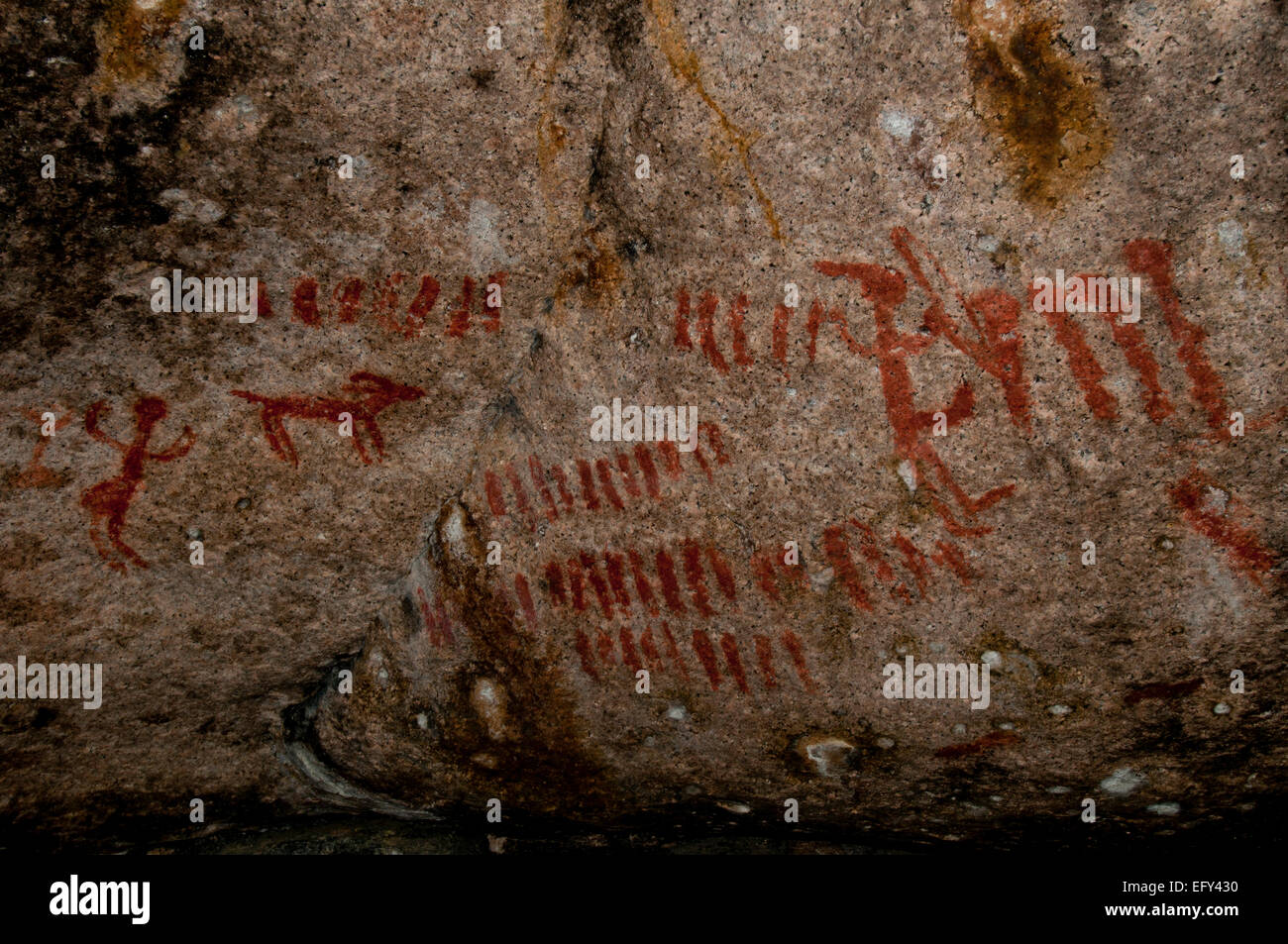 'Shark-fin rock' pittogrammi sul Medio Forcella del fiume di salmoni nella chiesa di Frank - River of No Return Wilderness Idaho Foto Stock