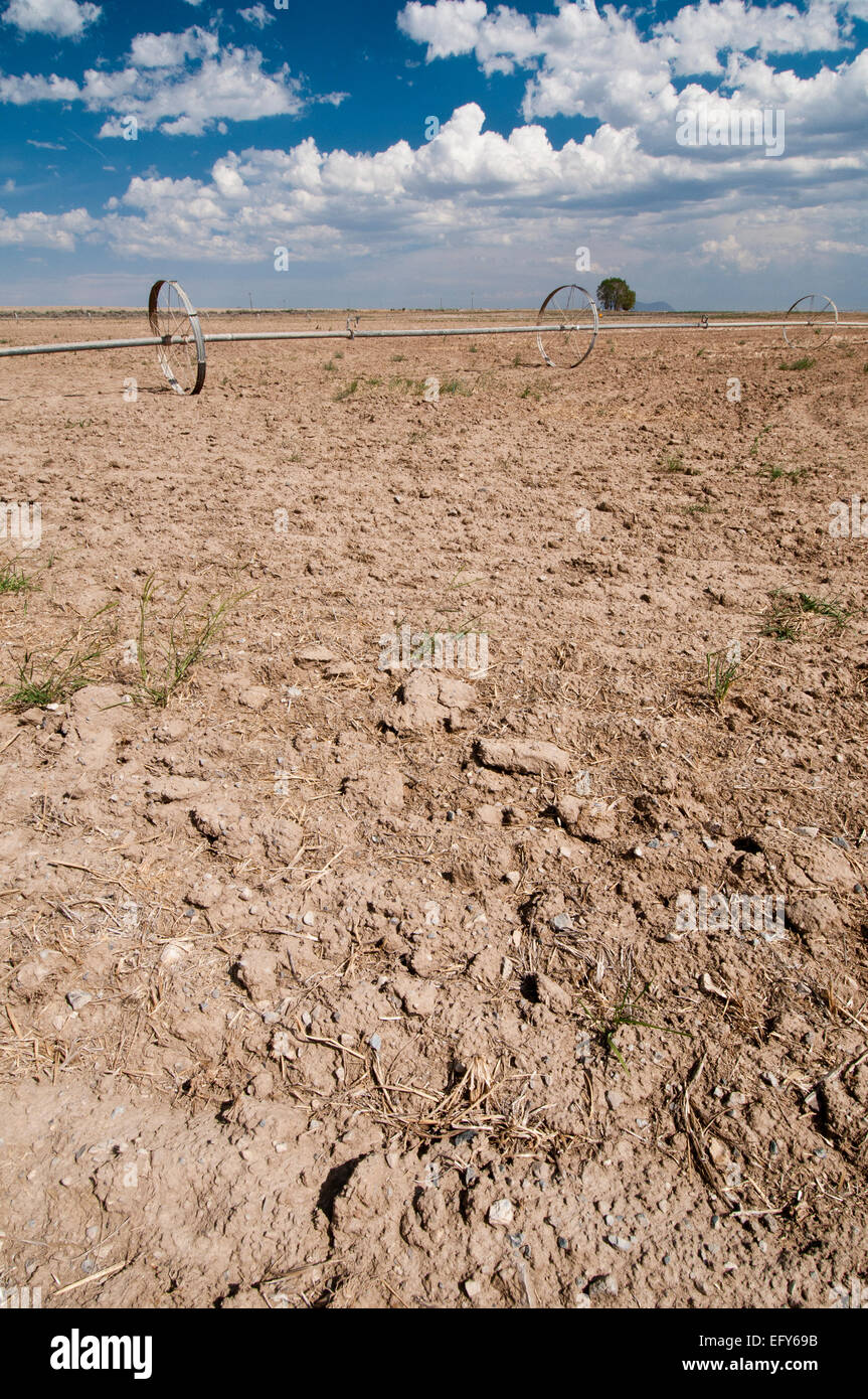 Ruota di sprinkler in linea secco campo incolto in sud-Idaho centrale Foto Stock