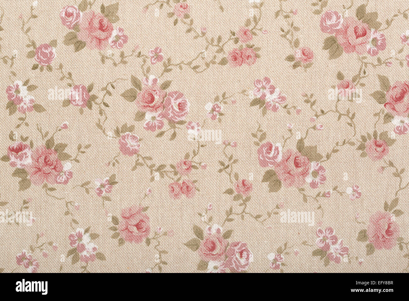 Arazzo con rose floreale, romantico sfondo texture Foto Stock